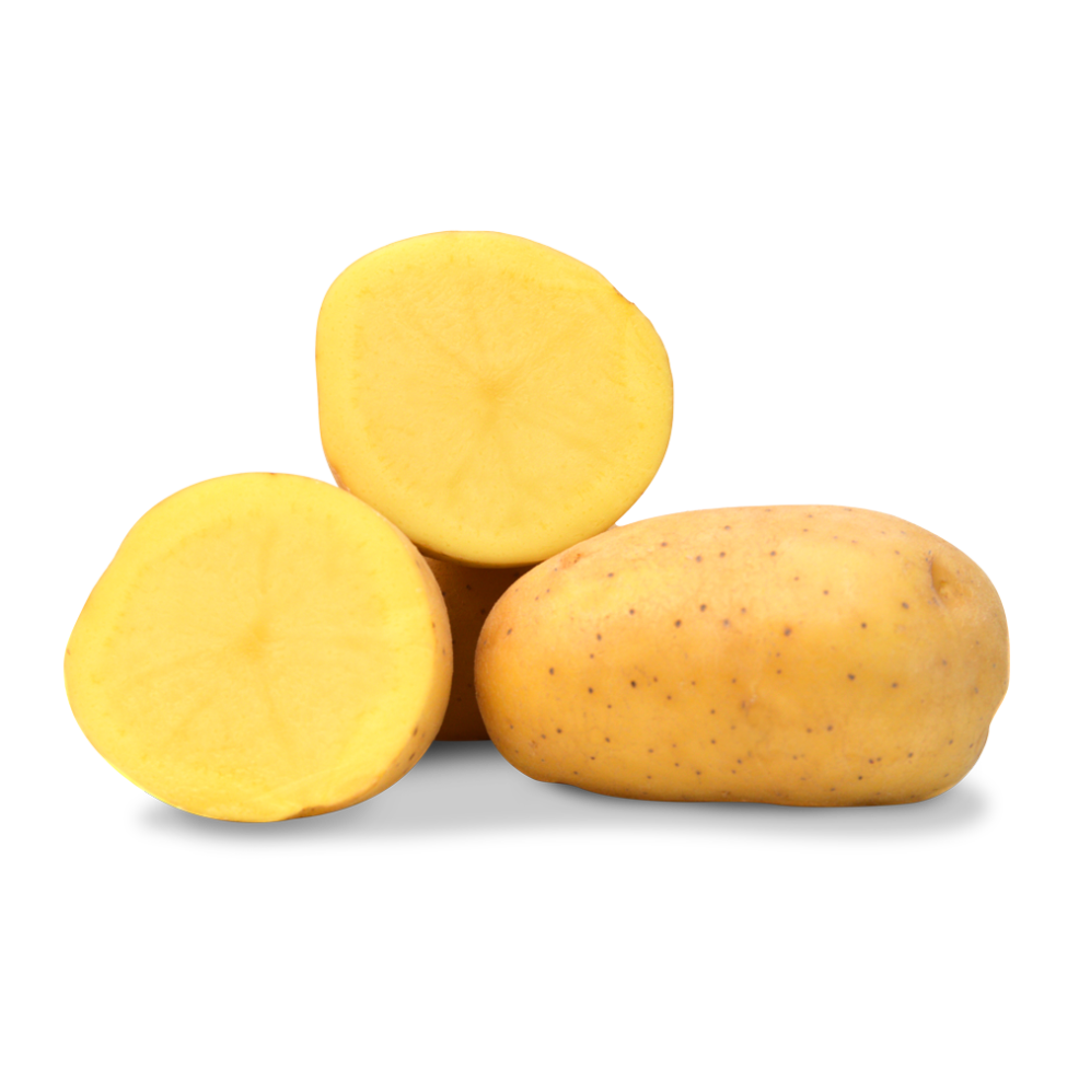Patates jaunes